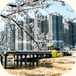 Daejeon city
