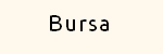 Bursa subway